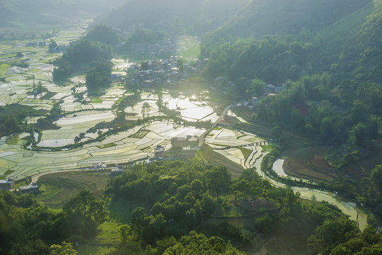 黑尔水田风光