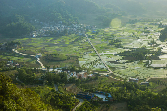 黑尔水田风光