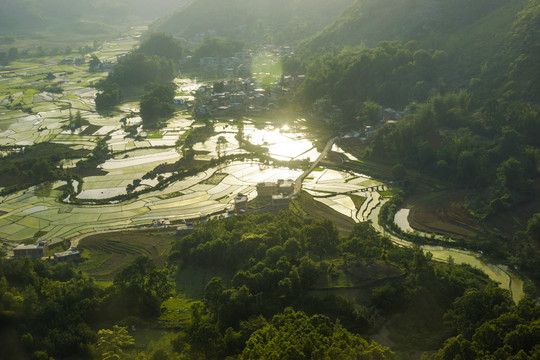 黑尔水田风光