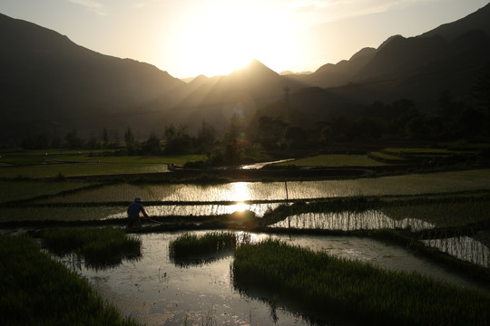 黑尔水田风光