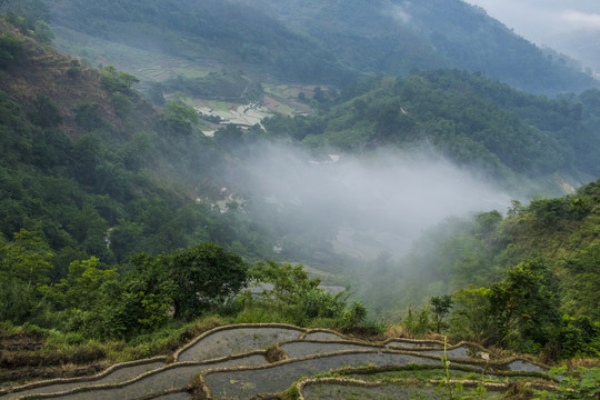 黑尔水田风光