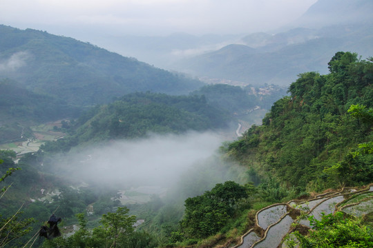 黑尔水田风光