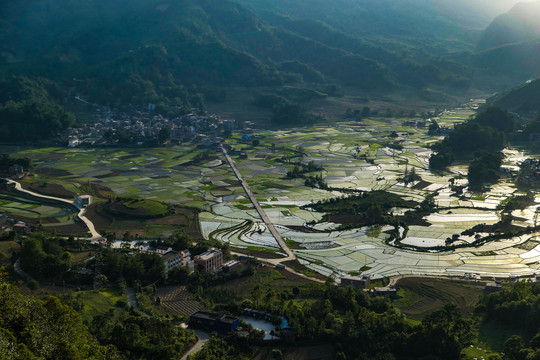 黑尔水田风光