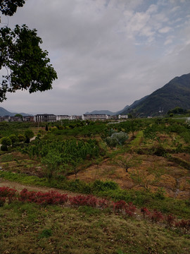 乡村风景