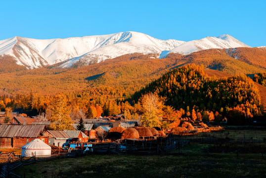 新疆白哈巴喀纳斯风景