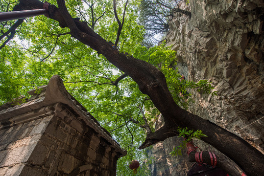 青州白云洞风景