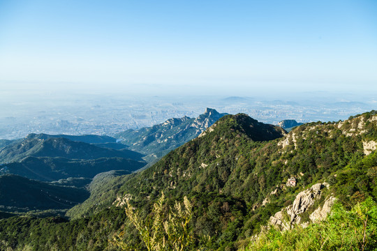 泰山