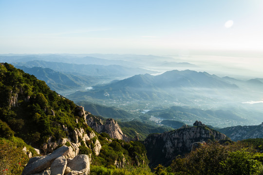 泰山