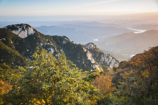 泰山