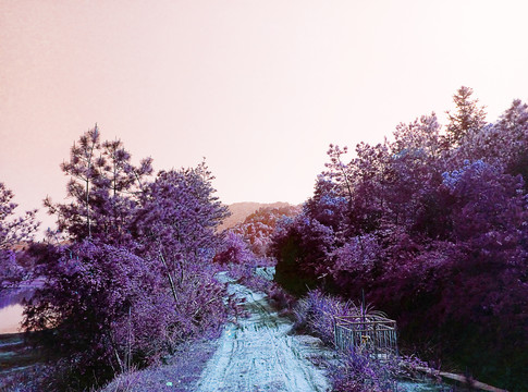 山间小路
