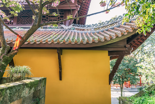 重庆南山佛教寺庙涂山寺风光