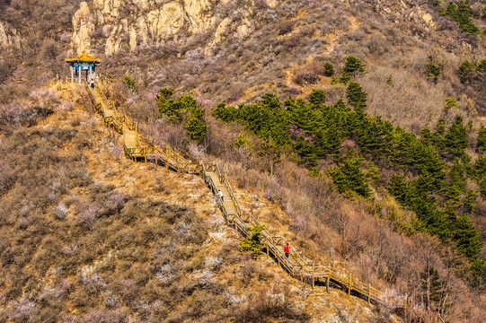 春天的山野观光步道