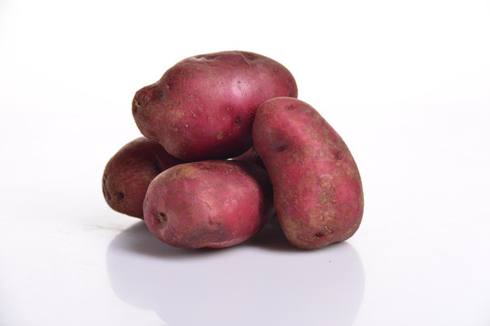 粉土豆