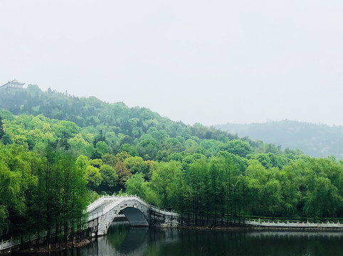 小桥流水树林