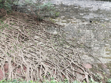 广州古城墙