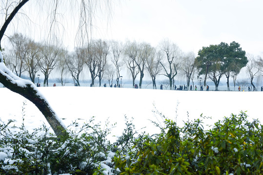 杭州西湖雪景