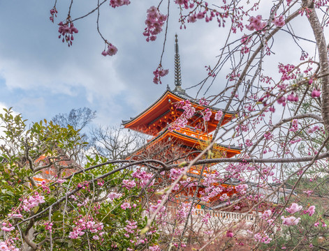 京都清水寺建筑风景