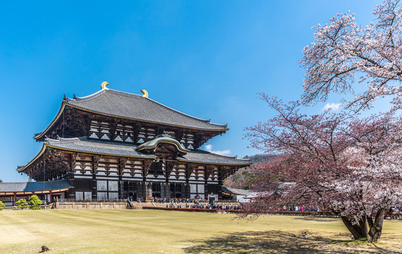 奈良东大寺建筑风光