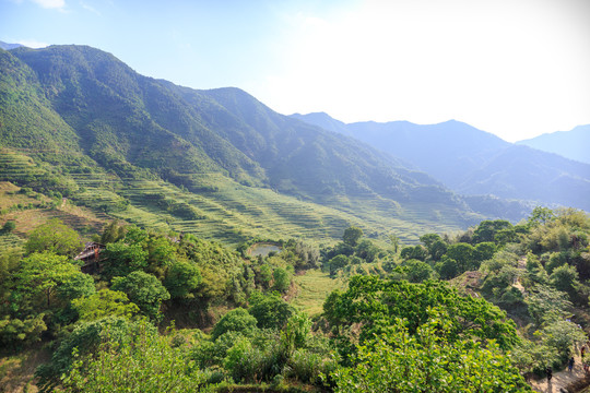 篁岭梯田风光