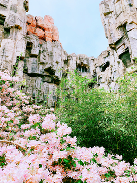 鲜花山谷