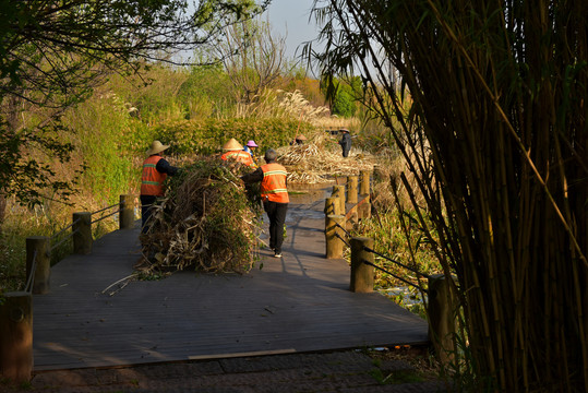 西昌湿地公园清理垃圾