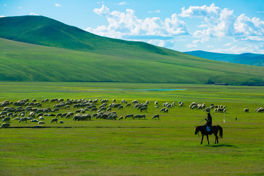 丘陵草原骑马牧羊