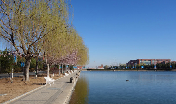 内蒙古师范大学的池塘
