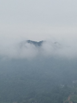 山