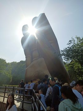 佛手