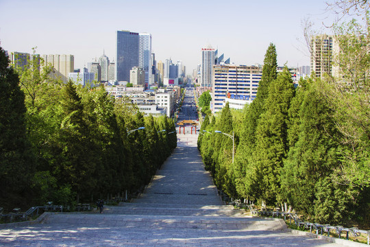 鞍山烈士山两排松树与城市建筑群