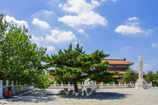 鞍山玉佛寺广场松树与石桌石凳