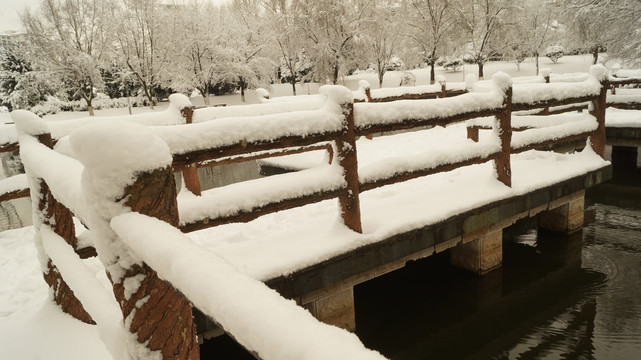 师宗雪景
