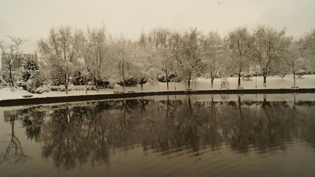 师宗雪景