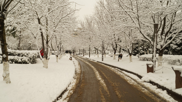 师宗雪景
