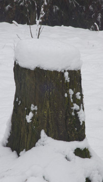 师宗雪景