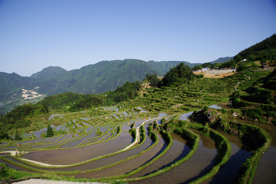 梯田