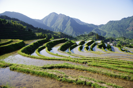 梯田
