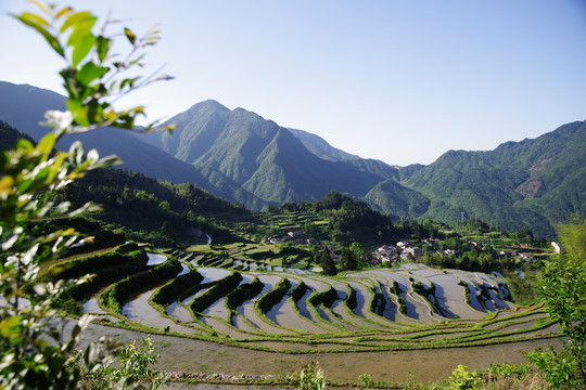 梯田