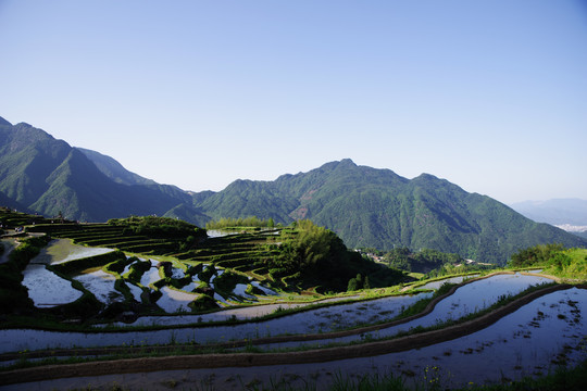 梯田