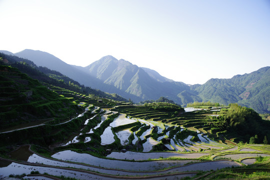 梯田