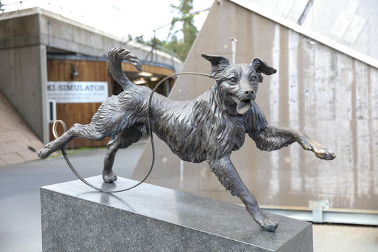 狗的雕塑