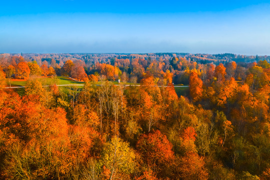 拉脱维亚国家森林公园风光