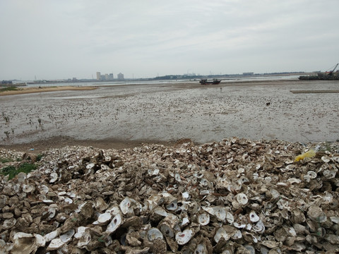 浅海沙滩