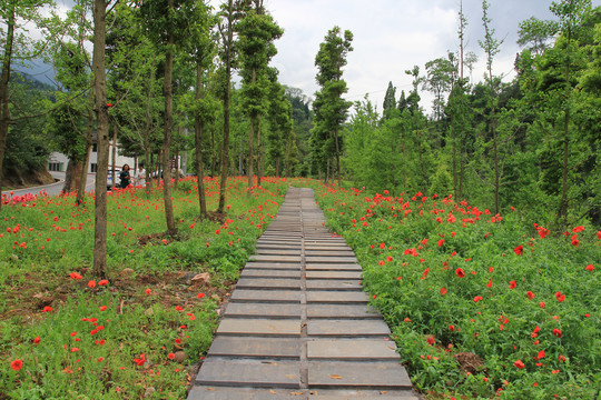 石板路园林景观游道