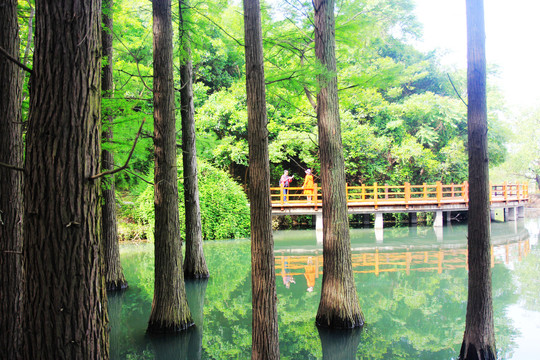 采石矶水景图
