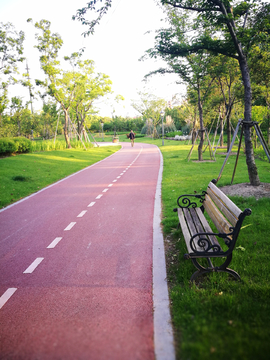 城市绿化健身步道