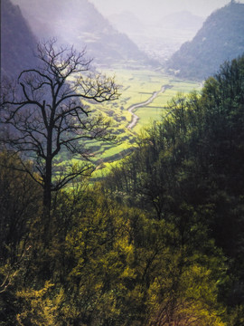 山里田园
