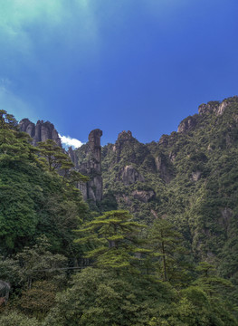 江西三清山神驼峰