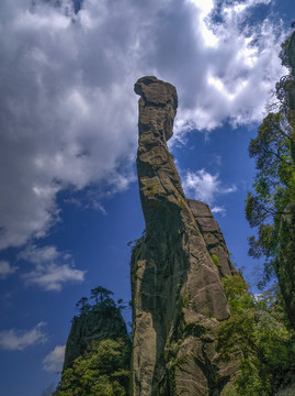 江西三清山巨蟒出山