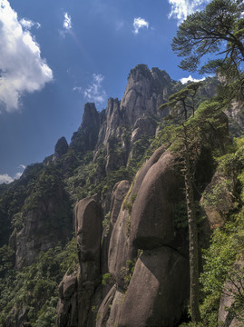 江西三清山山岩松树